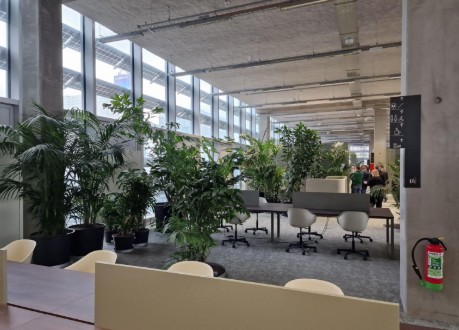 Render Elia Kruisem nieuw gebouw